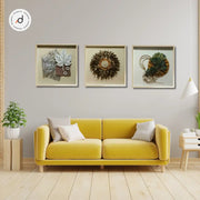 Contemporary Shadow Box Wall Art – Botanical & Abstract Trio (60×60 cm, Glass Frame)