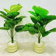 Double Delight Table Planter