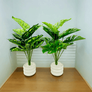 Double Delight Table Planter