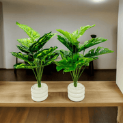 Double Delight Table Planter