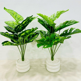Double Delight Table Planter