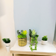 Leafy Splendor Table Planter