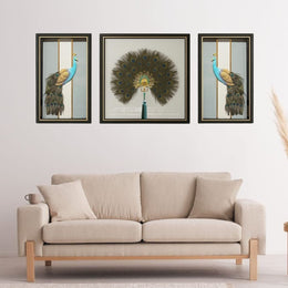 Peacock Elegance Shadow Box Frame Set (1.5×2ft / 2×2ft / 1.5×2ft) – Set of 3