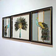 Peacock Elegance Shadow Box Frame Set (1.5×2ft / 2×2ft / 1.5×2ft) – Set of 3