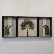 Peacock Elegance Shadow Box Frame Set (1.5×2ft / 2×2ft / 1.5×2ft) – Set of 3