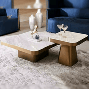 Contemporary Imported Top Coffee Tables with Sleek Metal Base (Set of 2)